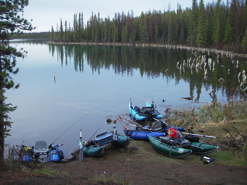 tainteddeerlake2.jpg